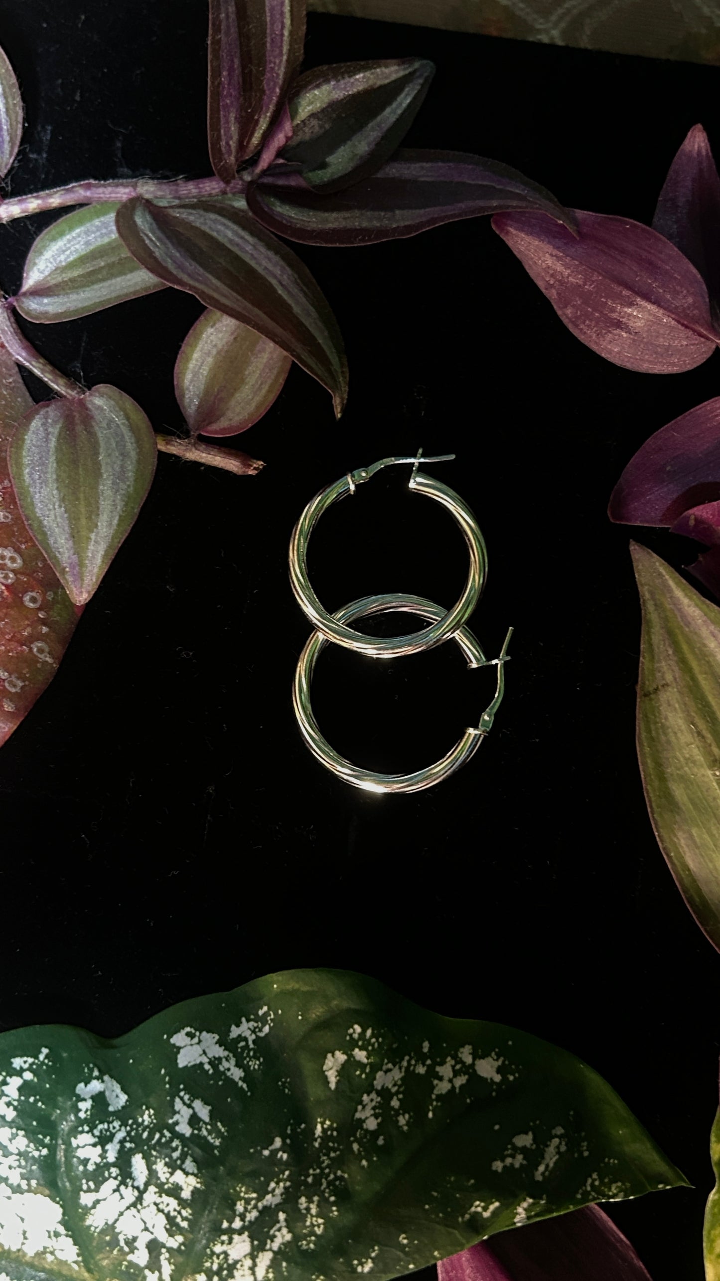 Aros Clásicos “Luna Brillante”